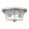 Quoizel Acacia 2-Light Brushed Nickel Flush Mount ACA1614BN - alternate 1